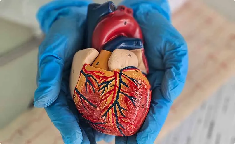 Cardiology